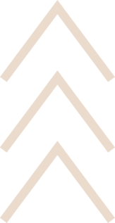 social link building